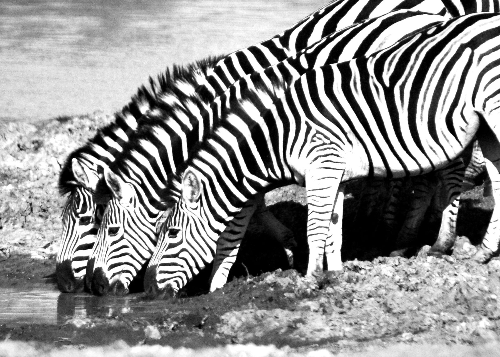Capturing Life’s Moments photograph 13 by Jeff Sallot