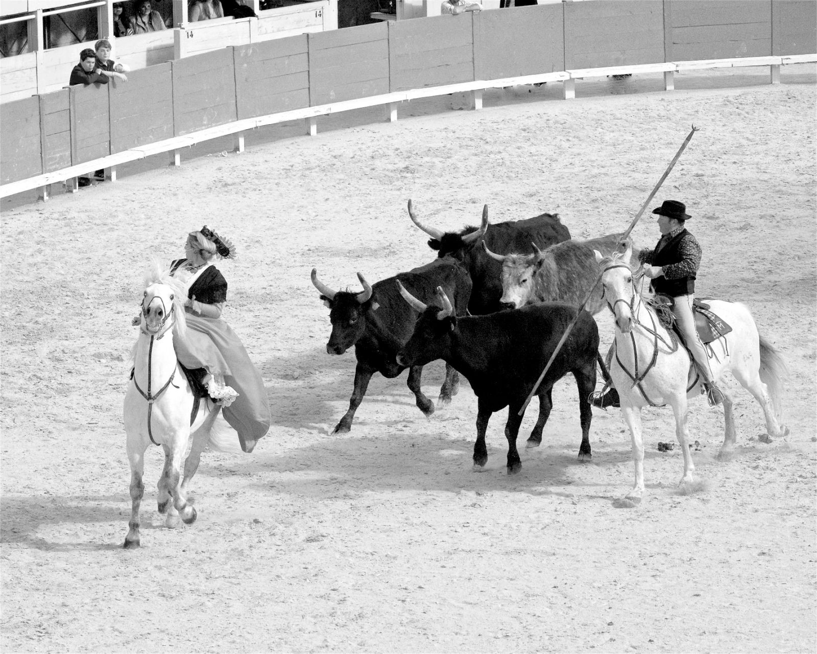 Capturing Life’s Moments photograph 31 by Jeff Sallot